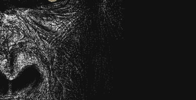 Dots – Série émotions