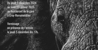 Exposition Croy – 2024 / 2025