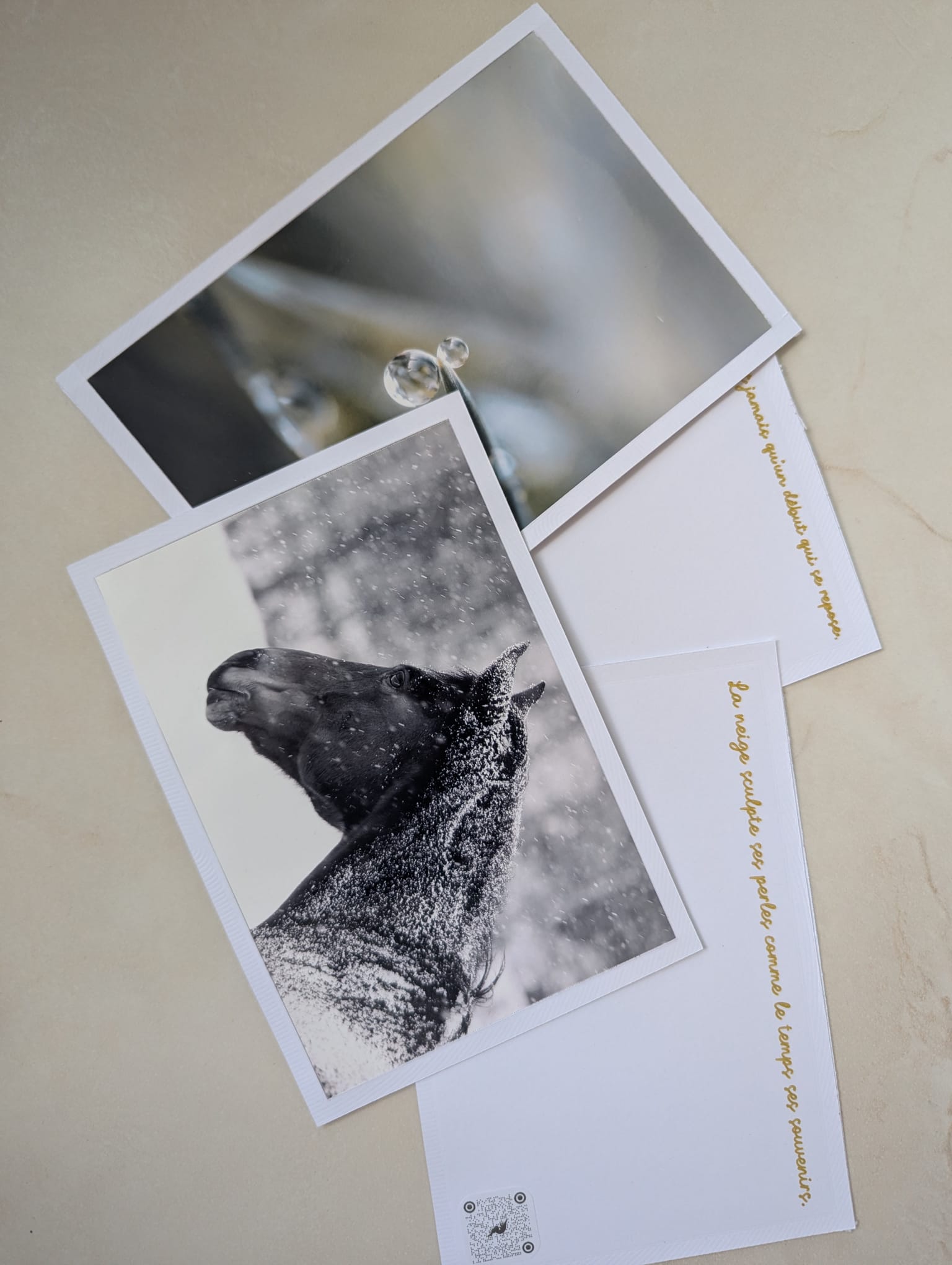 Pack Poétique — Hiver vue d'ensemble