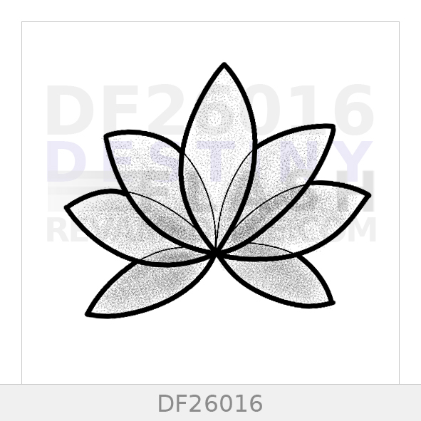 Le flash DF26016