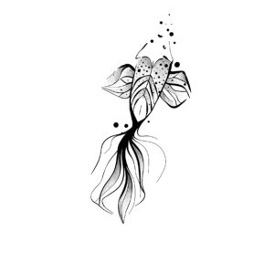 Flash portfolio