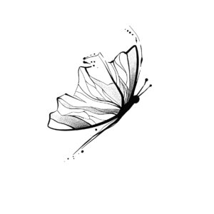 Flash portfolio