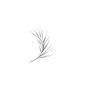 Flash portfolio