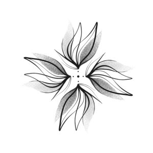 Flash portfolio