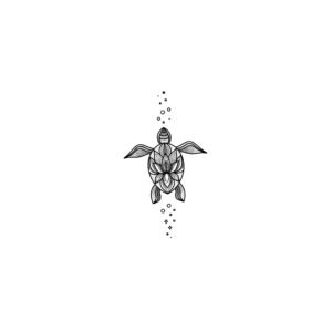 Flash portfolio