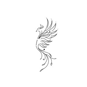Flash portfolio
