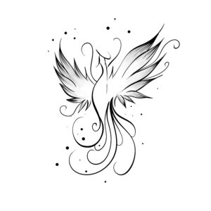 Flash portfolio