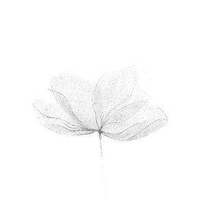 Flash portfolio