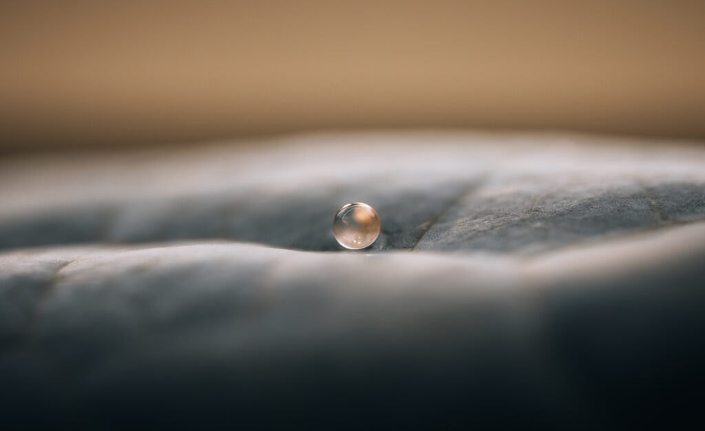 Goutte d'eau parfaitement ronde posée sur une feuille de plante grasse, photographie macro en édition limitée – revameditee