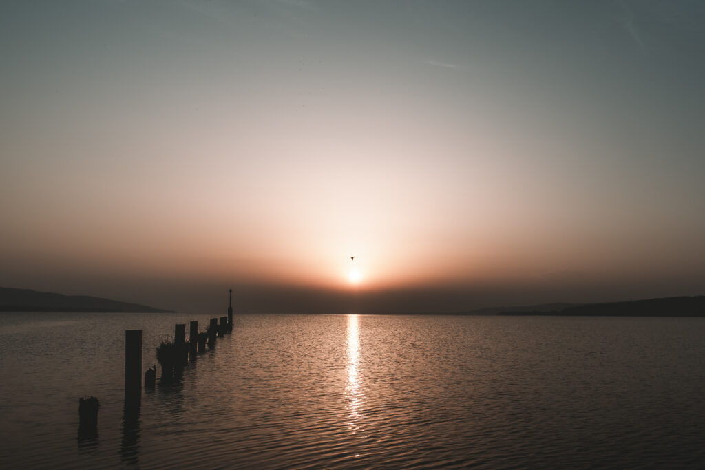Lever de soleil sur le lac avec une rangée de pieux et un oiseau en vol, photographie en édition limitée – revameditee
